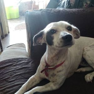 Meet your Posher, Tiana pricesa